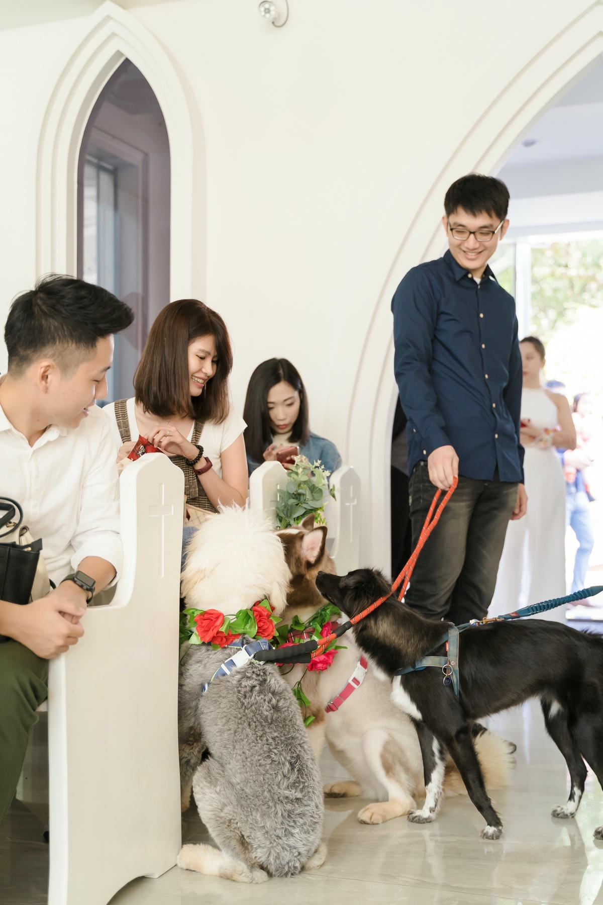 ｜婚禮｜寵物友善毛孩小孩一起來