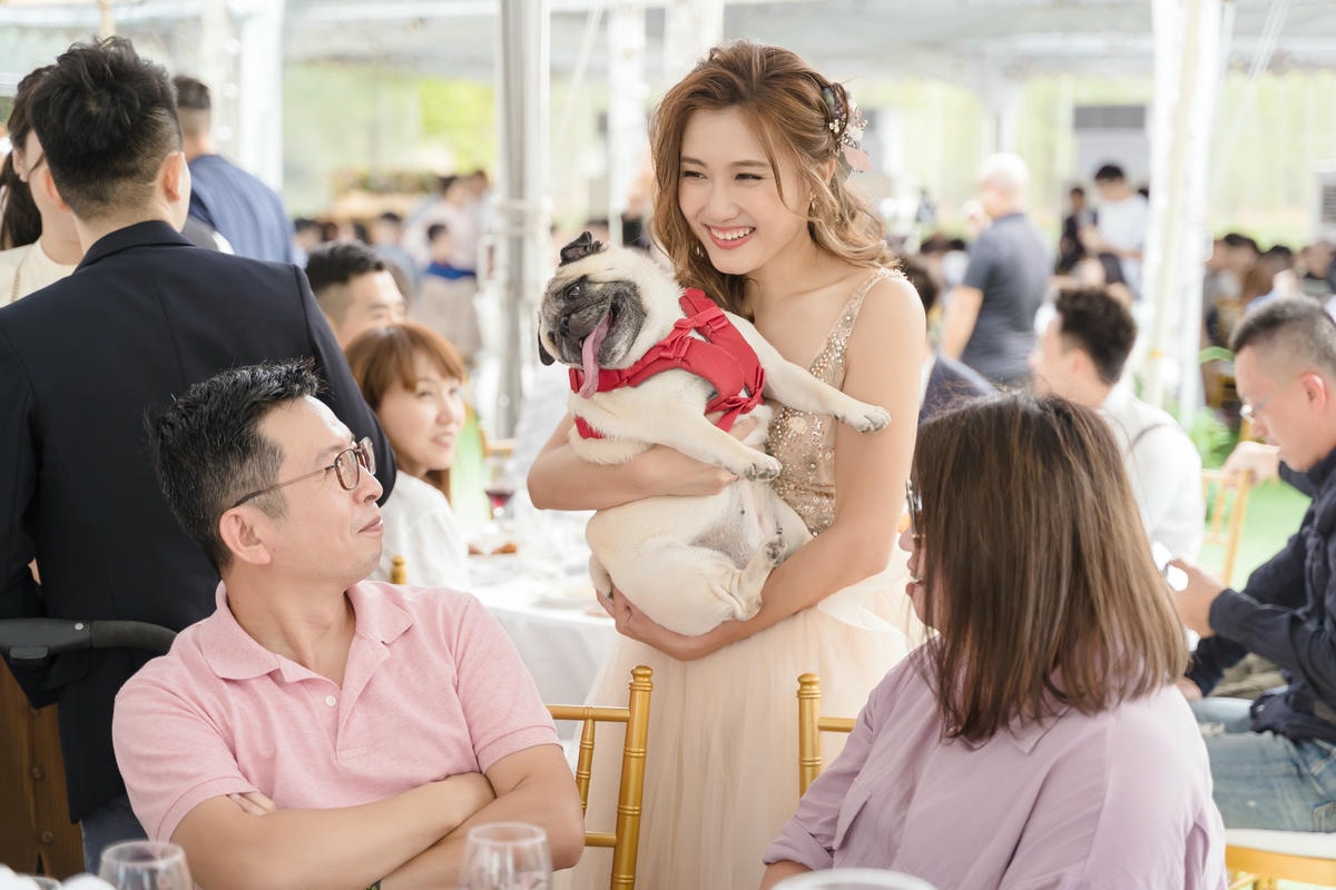 ｜婚禮｜寵物友善毛孩小孩一起來
