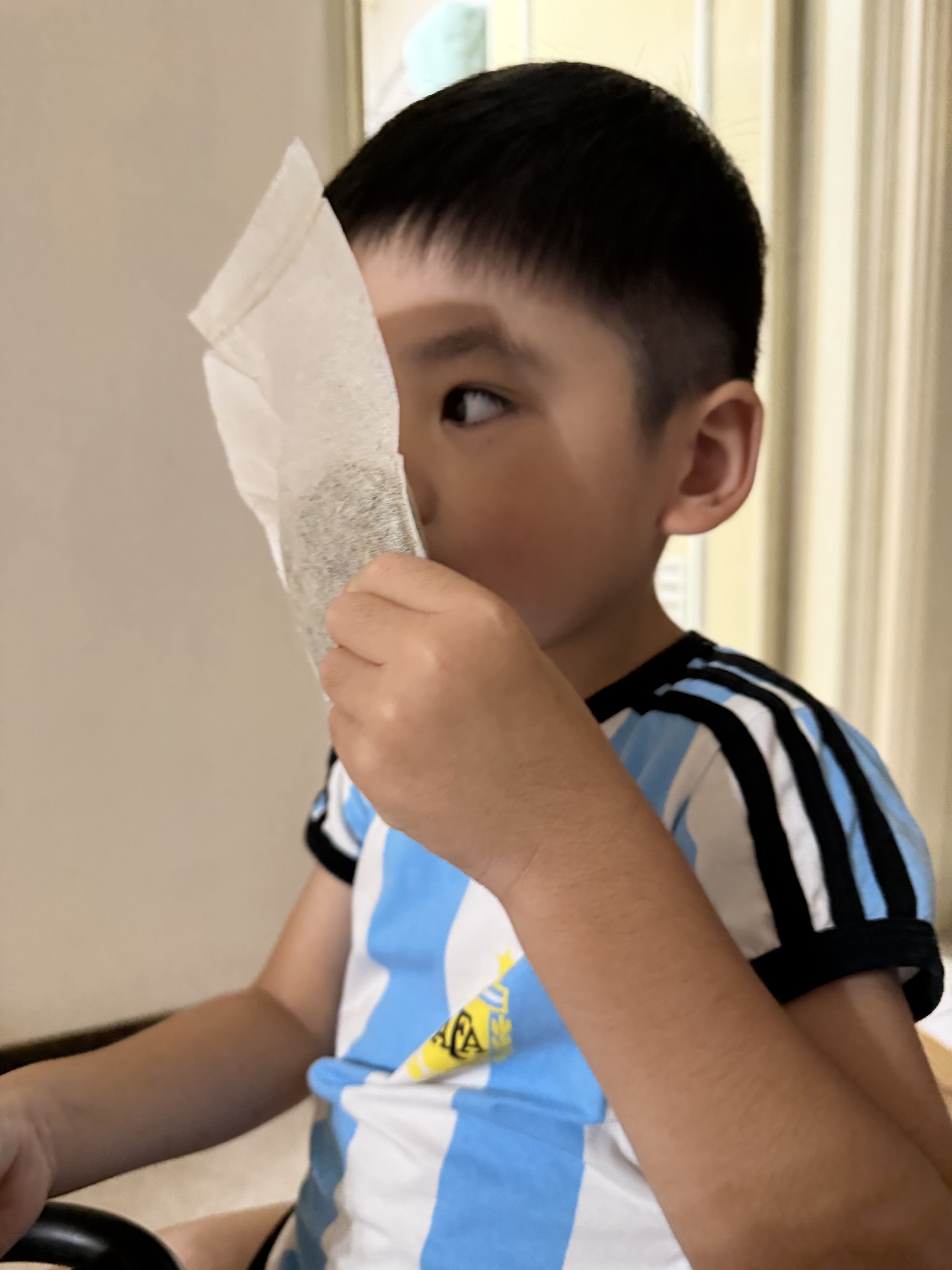 |森滋養|全家人的療癒好朋友草本艾草草本沐浴包 - 第3張圖 |森滋養|全家人的療癒好朋友草本艾草草本沐浴包